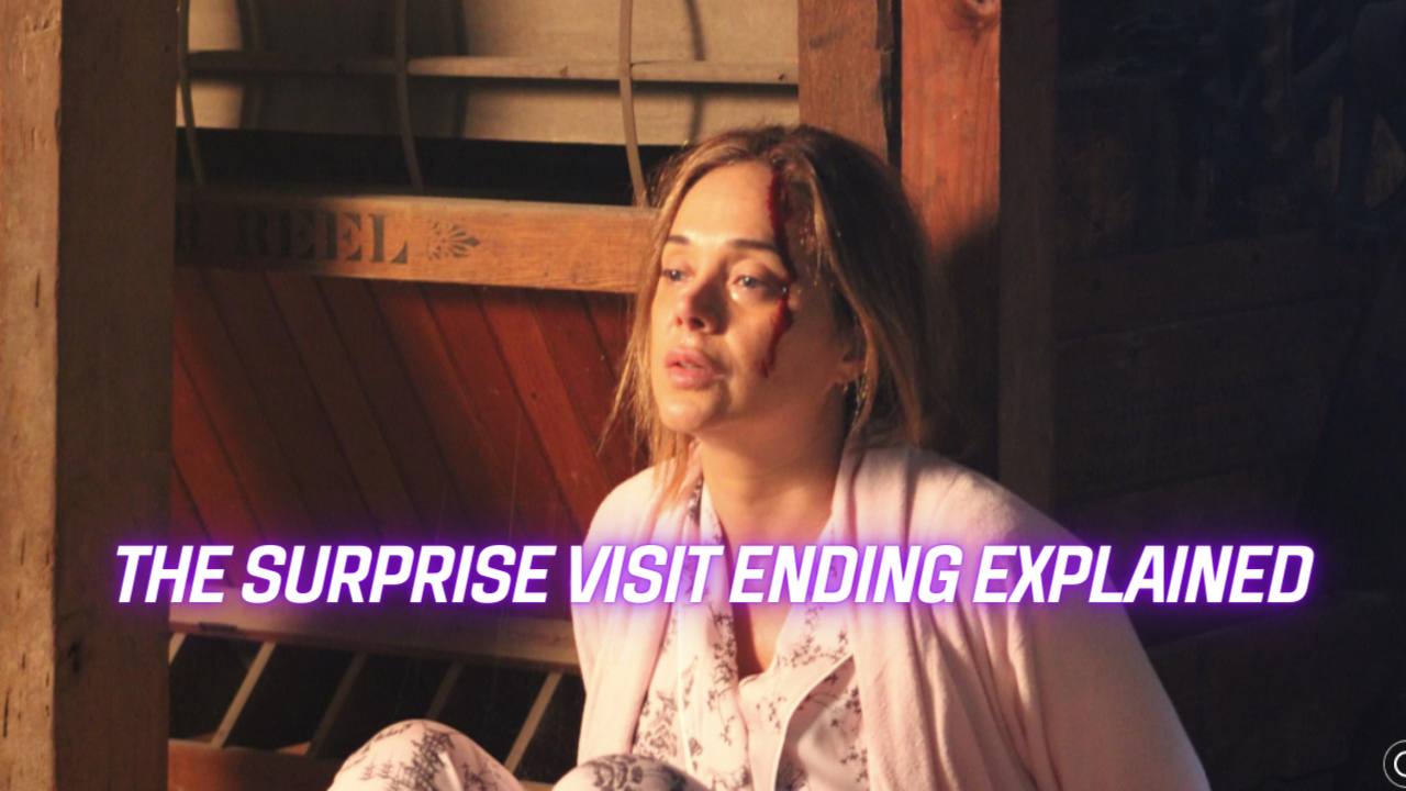 surprise visit ending explained